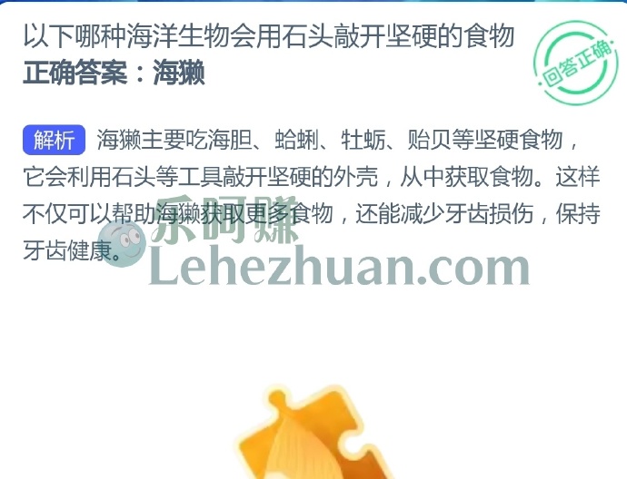 以下哪种海洋生物会用石头敲开坚硬的食物?
