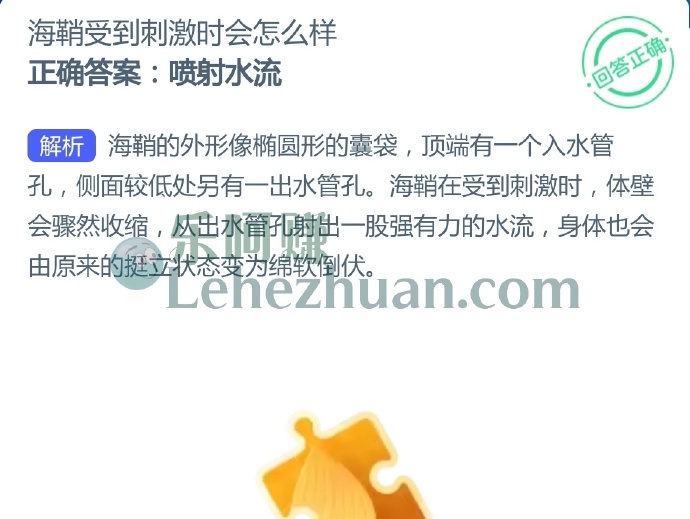 海鞘受到刺激时会怎么样?