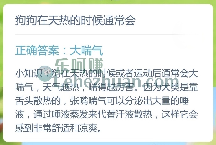 狗狗在天热的时候通常会?
