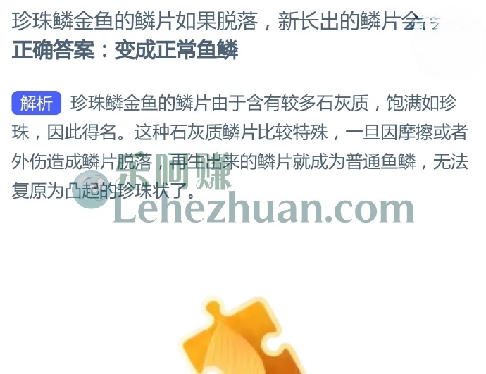 珍珠鳞金鱼的鳞片如果脱落,新长出的鳞片会?