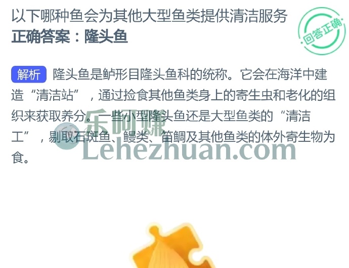 以下哪种鱼会为其他大型鱼类提供清洁服务?
