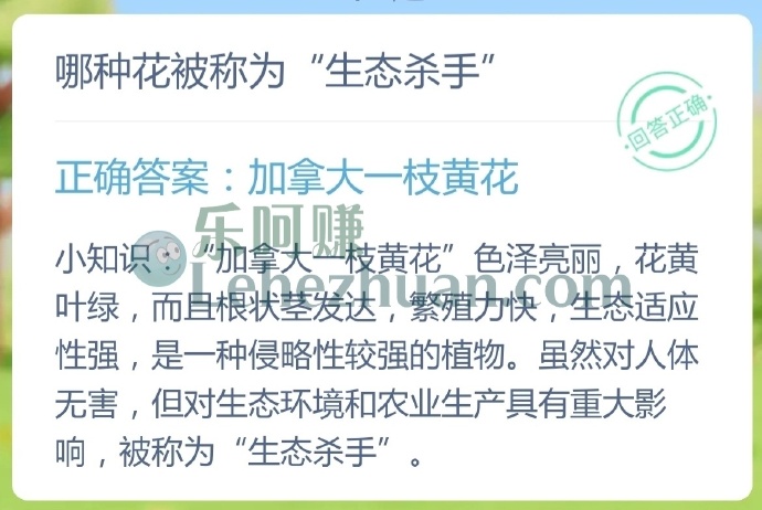 哪种花被称为生态杀手?