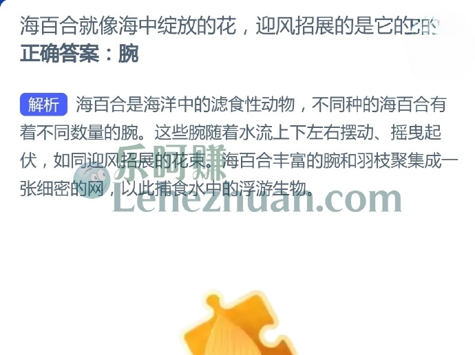 海百合就像海中绽放的花,迎风招展的是它的?