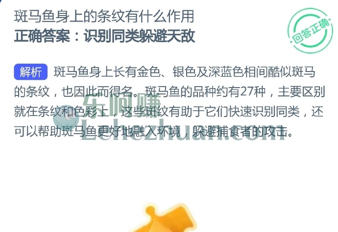 斑马鱼身上的条纹有什么作用?