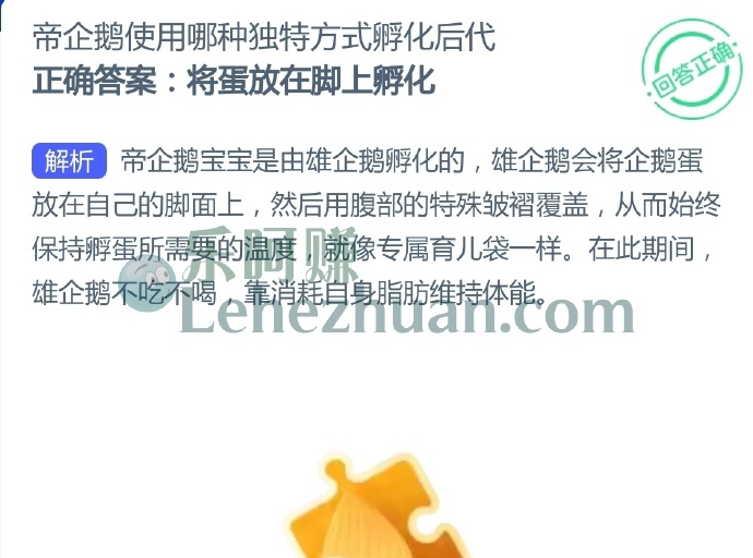 帝企鹅使用哪种独特方式孵化后代?