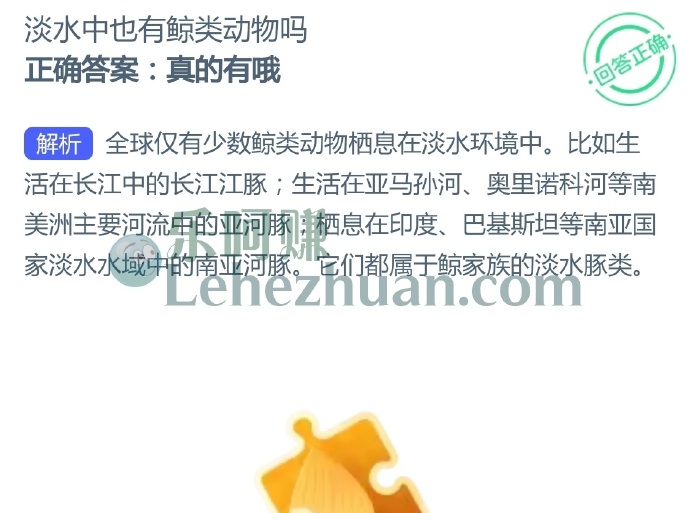 淡水中也有鲸类动物吗?