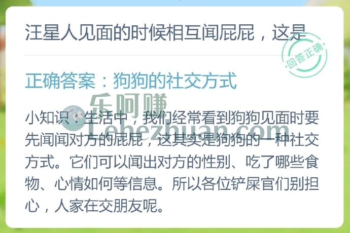 汪星人见面的时候相互闻屁屁,这是?