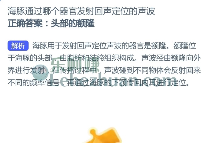 海豚通过哪个器官发射回声定位的声波?