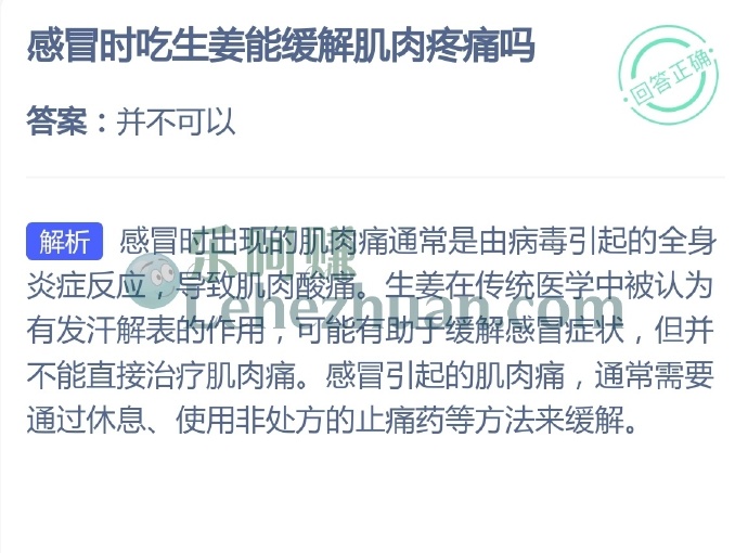 感冒时吃生姜能缓解肌肉疼痛吗?