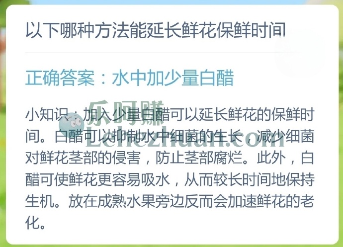 哪种方法能延长鲜花保鲜时间?