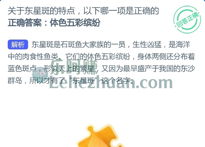 关于东星斑的特点,以下哪一项是正确的?