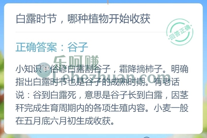 白露时节,哪种植物开始收获?