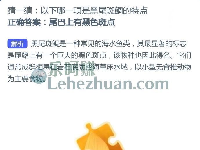 以下哪一项是黑尾斑鲷的特点?