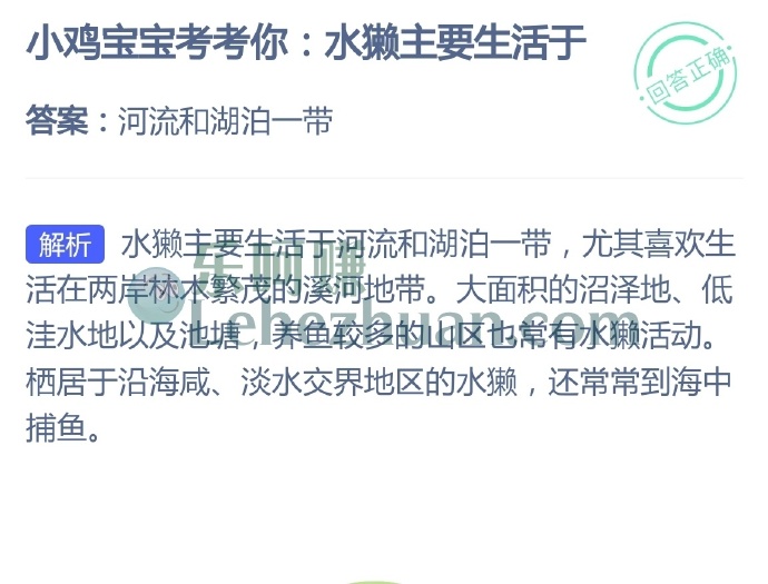 水獭主要生活于?