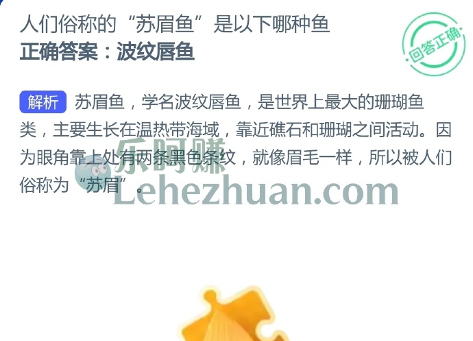 人们俗称的苏眉鱼是哪种鱼?