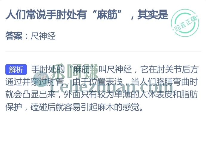 人们常说手肘处有麻筋,其实是?