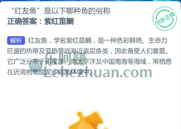 红友鱼是以下哪种鱼的俗称?