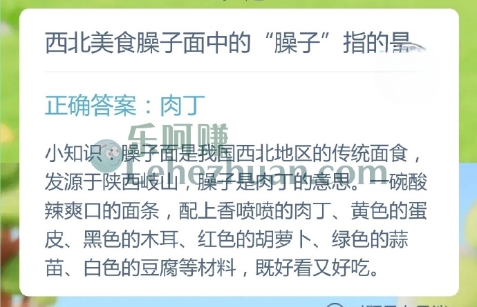 西北美食臊子面中的臊子指的是?