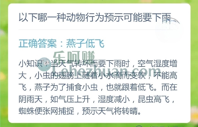 以下哪一种动物行为预示可能要下雨?