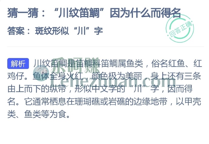 川纹笛鲷因为什么而得名?