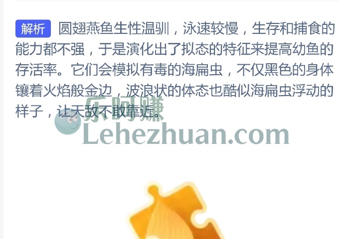 圆翅燕鱼的幼鱼会模仿什么?