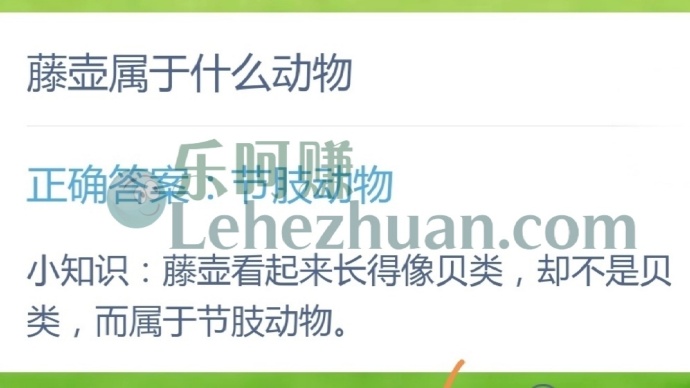 藤壶属于什么动物?