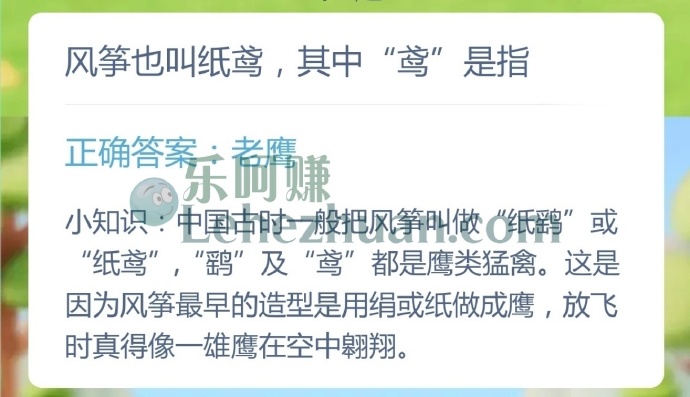 风筝也叫纸鸢,其中鸢是指?