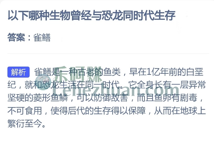 以下哪种生物曾经与恐龙同时代生存?
