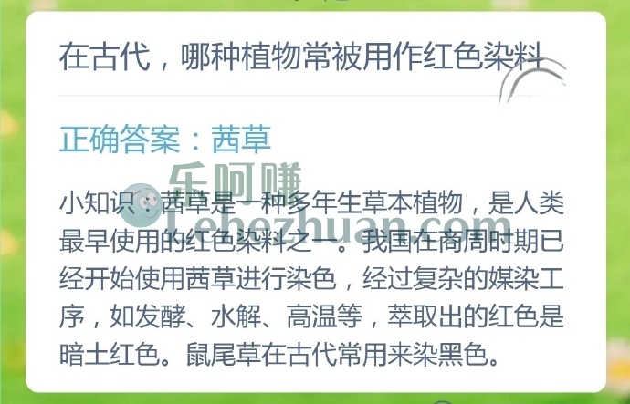在古代,哪种植物常被用作红色染料?