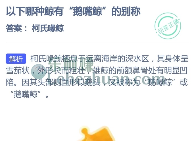 以下哪种鲸有鹅嘴鲸的别称?