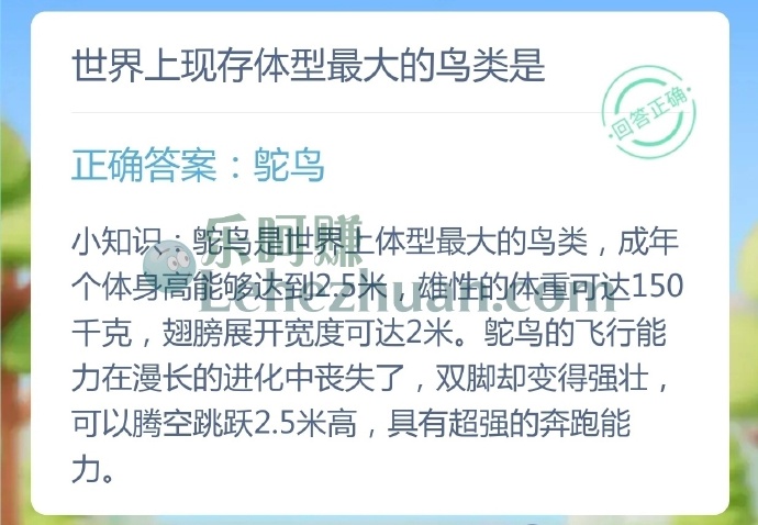 世界上现存体型最大的鸟类是?