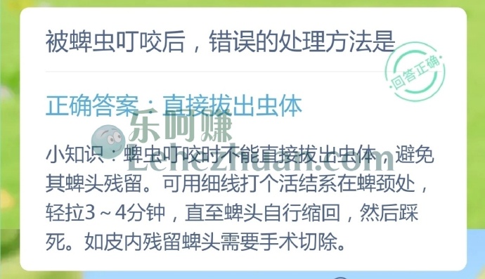 被蜱虫叮咬后,错误的处理方法是?