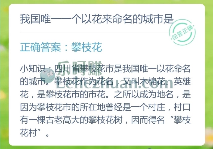 我国唯一一个以花来命名的城市是?
