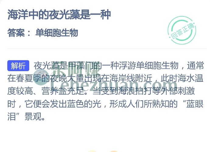 海洋中的夜光藻是一种?