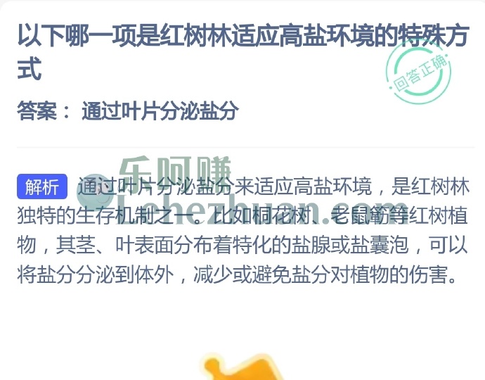 哪一项是红树林适应高盐环境的特殊方式?