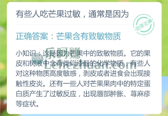 有些人吃芒果过敏,通常是因为?
