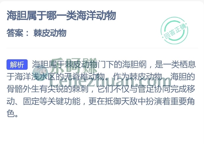 海胆属于哪一类海洋动物?