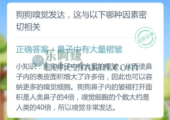狗狗嗅觉发达,这与以下哪种因素密切相关?