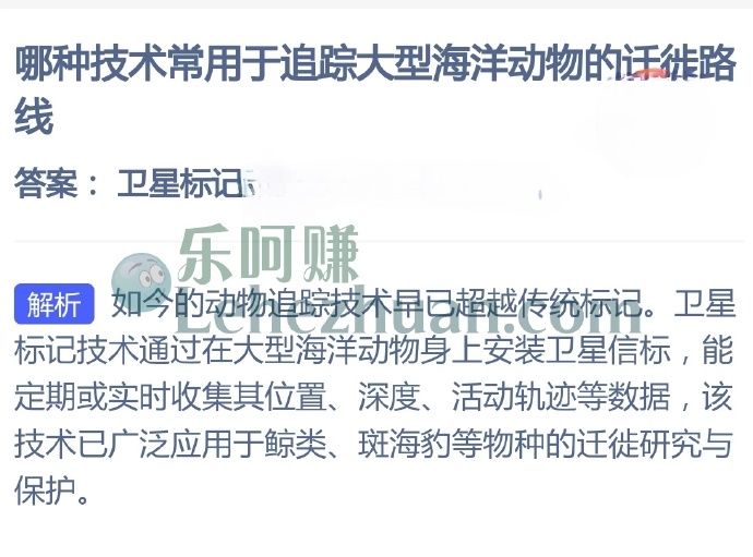 哪种技术常用于追踪大型海洋动物的迁徙路线?