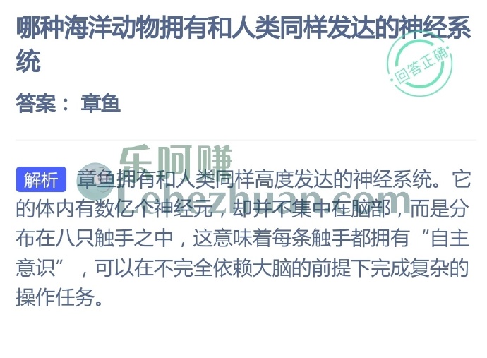 哪种海洋动物拥有和人类同样发达的神经系统?