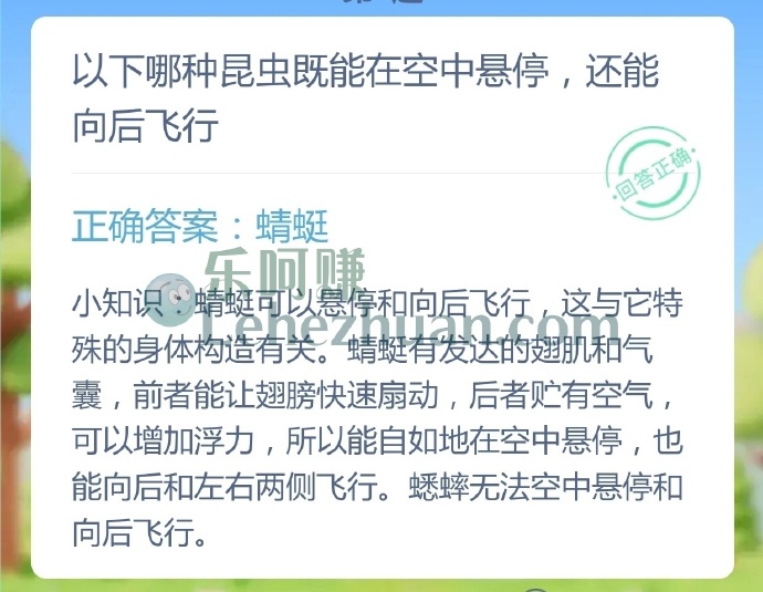以下哪种昆虫既能在空中悬停,还能向后飞行?