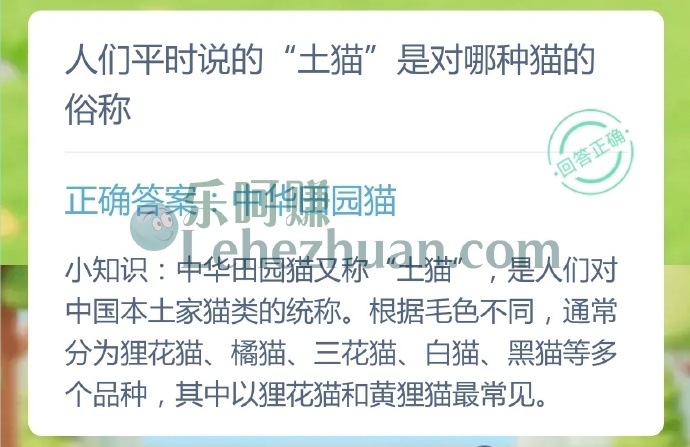 人们平时说的土猫是对哪种猫的俗称?