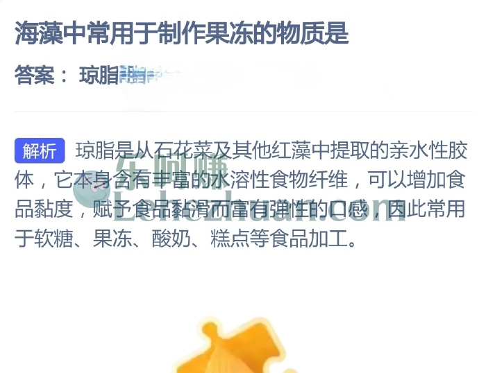 海藻中常用于制作果冻的物质是?