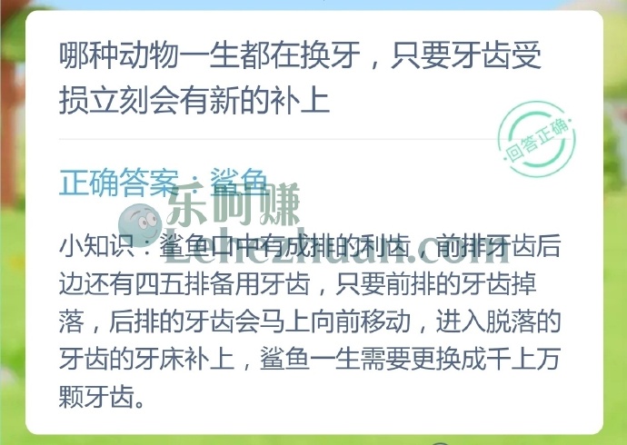 哪种动物一生都在换牙,只要牙齿受损立刻会有新的补上?