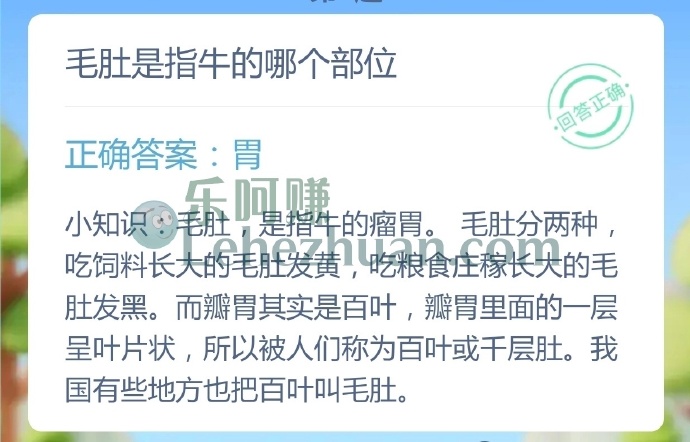 毛肚是指牛的哪个部位?