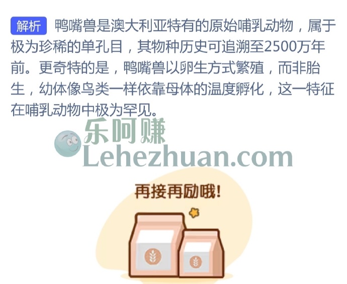 鸭嘴兽属于哪类动物?