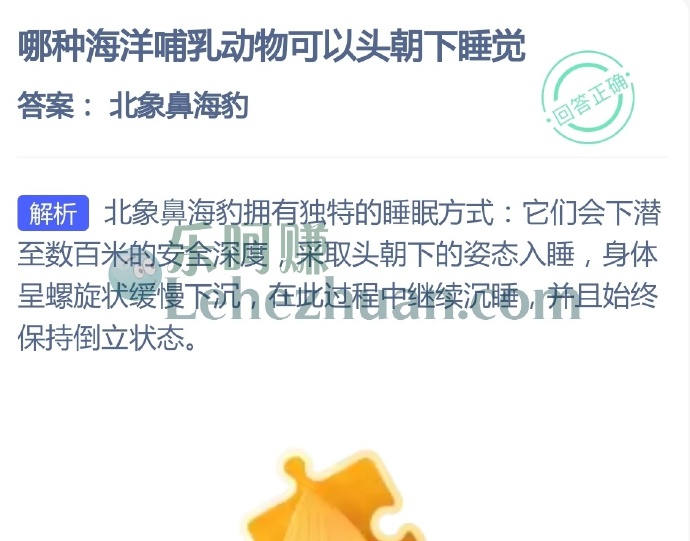哪种海洋哺乳动物可以头朝下睡觉?