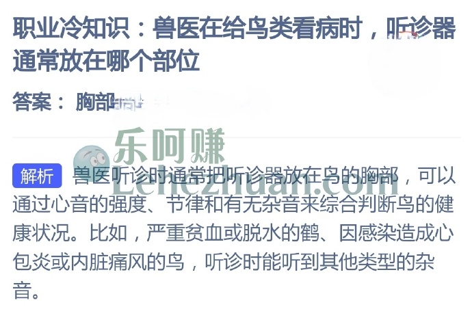 兽医在给鸟类看病时,听诊器通常放在哪个部位?