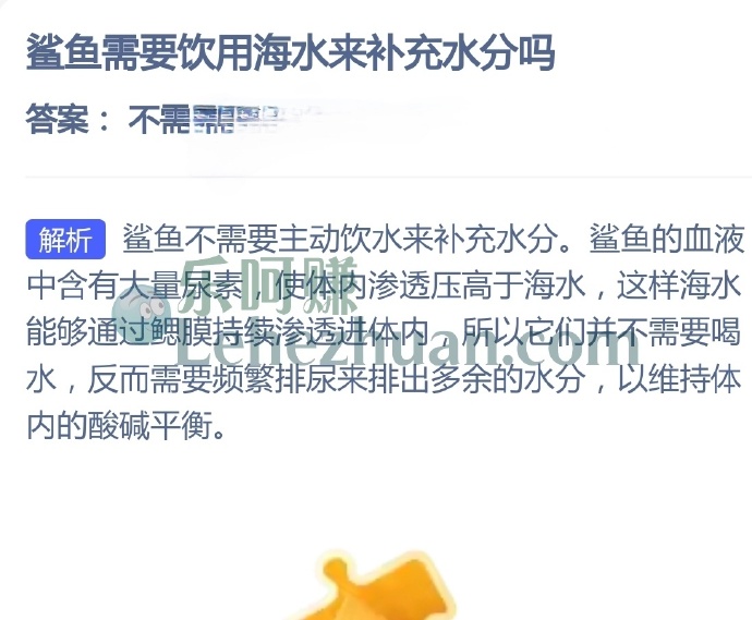 鲨鱼需要饮用海水来补充水分吗?