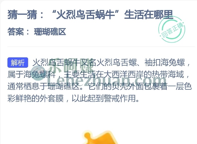 火烈鸟舌蜗牛生活在哪里?